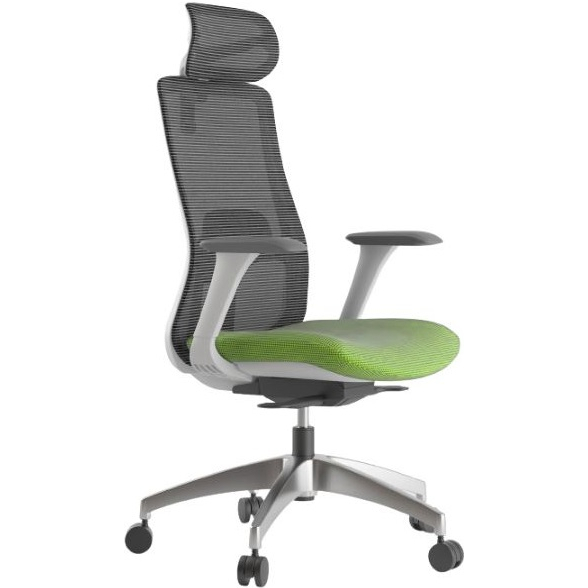 Kancelárska stolička WISDOM, sivý plast, zelená