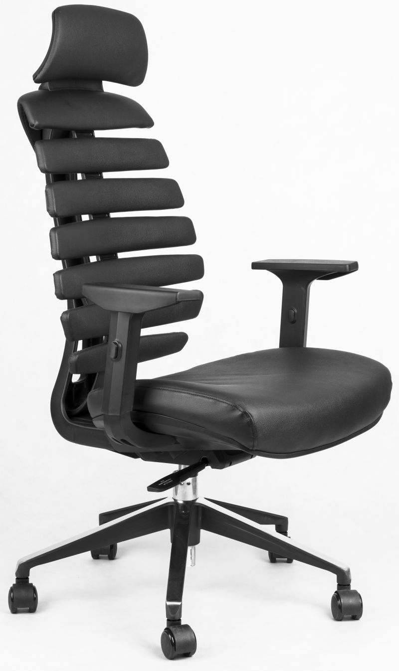kancelárska stolička FISH BONES PDH čierny plast, čierna kůže
