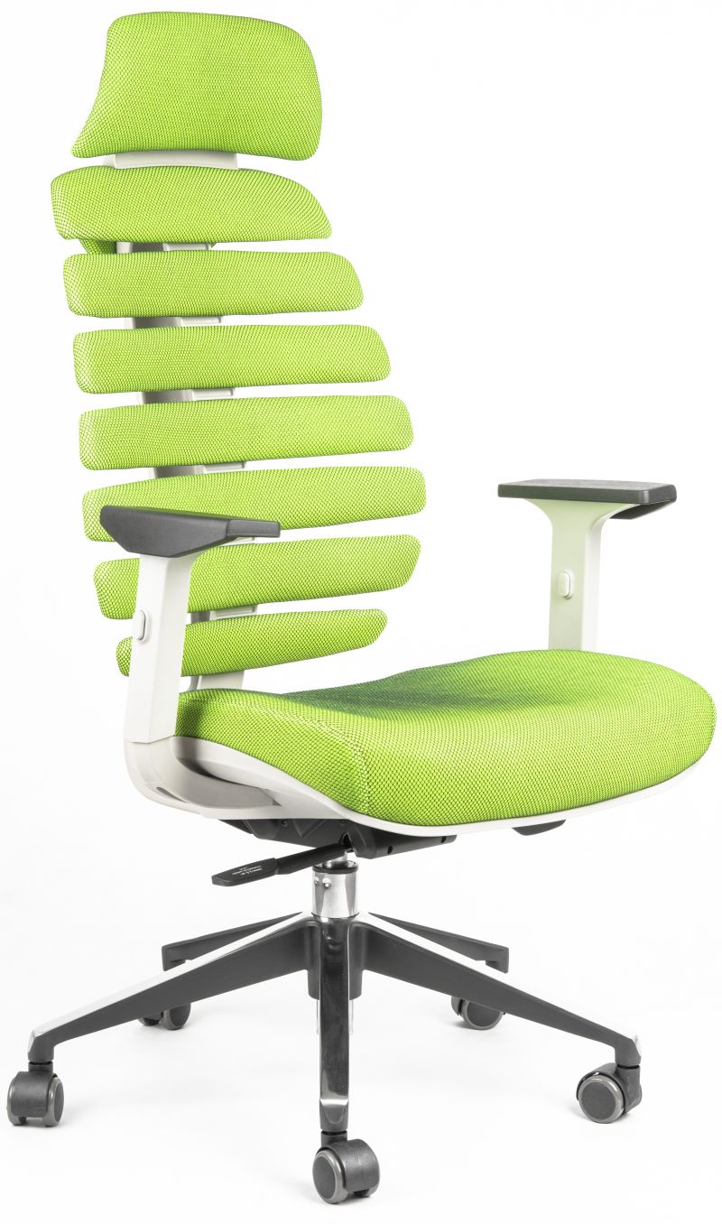kancelárska stolička FISH BONES PDH šedý plast, zelená SH06