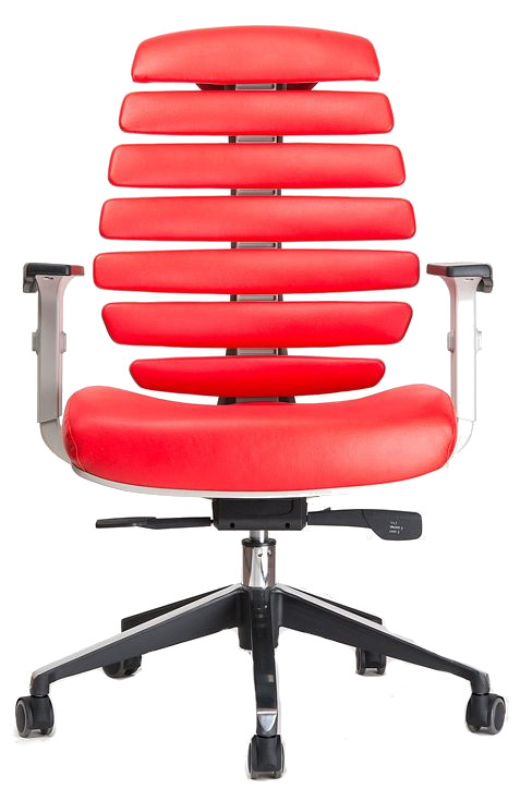 kancelárska stolička FISH BONES sivý plast, červená koža gallery main image