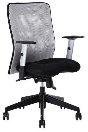 kancelárska stolička LEXA bez podhlavníka,farba šedá gallery main image